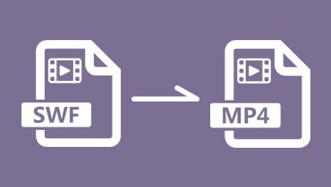 Convertir SWF en MP4