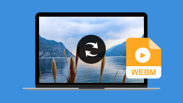 Convertisseurs WebM : le top 7 de l'année 2025