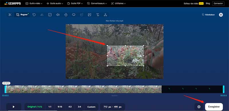 Zoomer sur une vidéo sur 123Apps