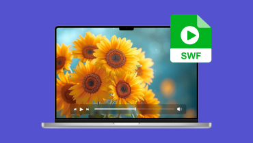 Les 5 meilleurs lecteurs SWF de lire un fichier SWF sur Windows et Mac