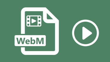 [Avis 2025] 6 meilleurs lecteurs WebM gratuits pour PC et Mac